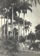 Campinas Pra�a Carlos Gomes