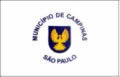 Bandeira de Campinas