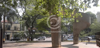 Largo das Andorinhas