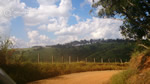 Distrito de Joaquim Egídio em Campinas - SP