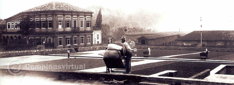 Fazenda Santa Genebra, em 1880