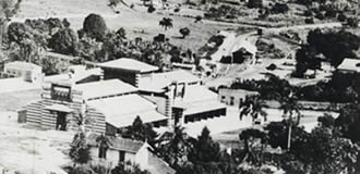 Mercado Municipal de Campinas