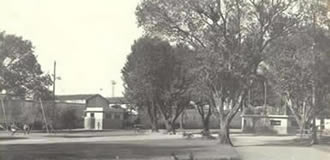 Campinas Praça Correia de Lemos