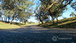 Parque Ecológico Monsenhor José Salim, Campinas