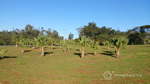 Parque Ecológico Monsenhor José Salim, Campinas